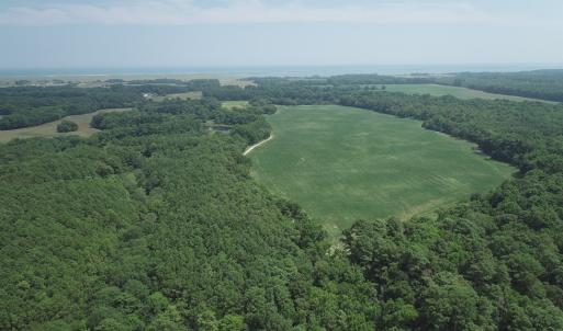 Photo #39 of #57,#154 METOMPKIN RD, PARKSLEY, VA 163.2 acres