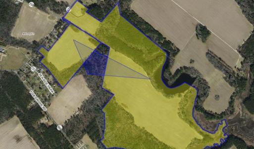 Photo #4 of #57,#154 METOMPKIN RD, PARKSLEY, VA 163.2 acres