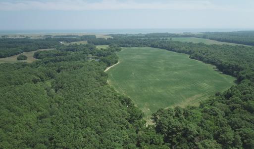 Photo #40 of #57,#154 METOMPKIN RD, PARKSLEY, VA 163.2 acres