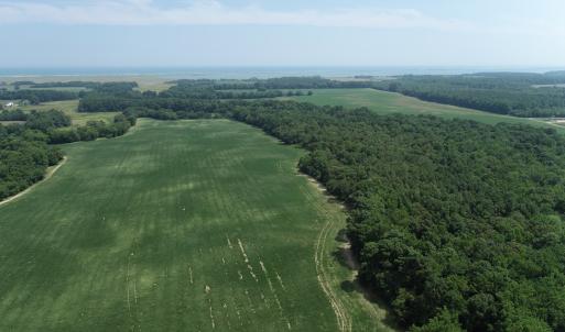 Photo #41 of #57,#154 METOMPKIN RD, PARKSLEY, VA 163.2 acres