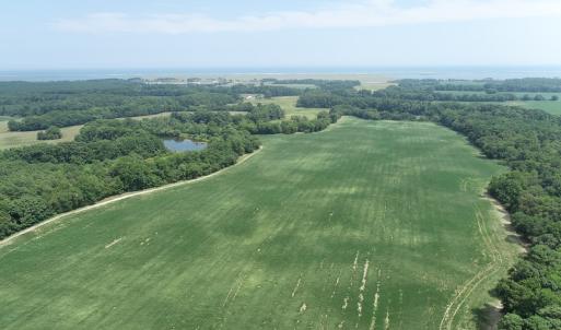Photo #42 of #57,#154 METOMPKIN RD, PARKSLEY, VA 163.2 acres