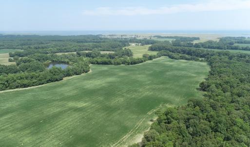 Photo #44 of #57,#154 METOMPKIN RD, PARKSLEY, VA 163.2 acres