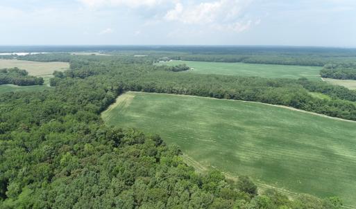 Photo #47 of #57,#154 METOMPKIN RD, PARKSLEY, VA 163.2 acres