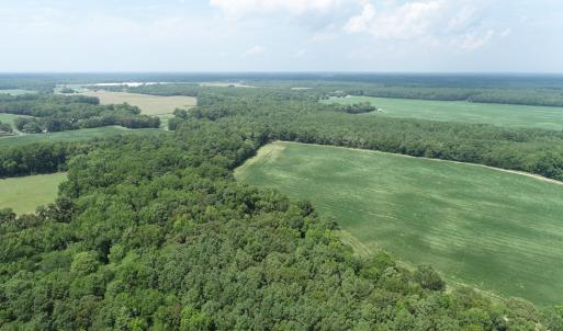 Photo #48 of #57,#154 METOMPKIN RD, PARKSLEY, VA 163.2 acres