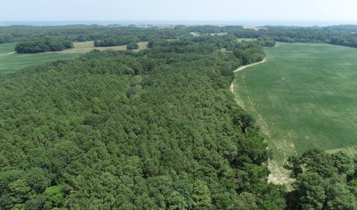 Photo #9 of #57,#154 METOMPKIN RD, PARKSLEY, VA 163.2 acres