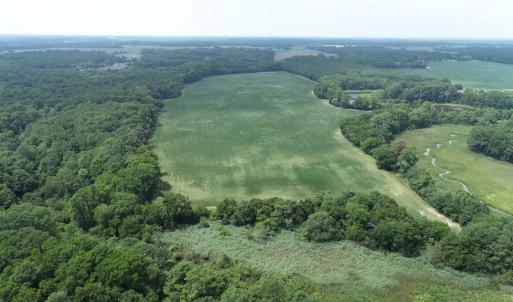 Photo #20 of #57,#154 METOMPKIN RD, PARKSLEY, VA 163.2 acres