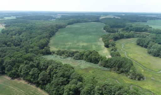 Photo #21 of #57,#154 METOMPKIN RD, PARKSLEY, VA 163.2 acres