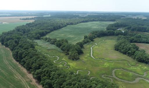 Photo #24 of #57,#154 METOMPKIN RD, PARKSLEY, VA 163.2 acres