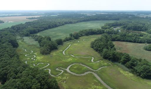Photo #25 of #57,#154 METOMPKIN RD, PARKSLEY, VA 163.2 acres