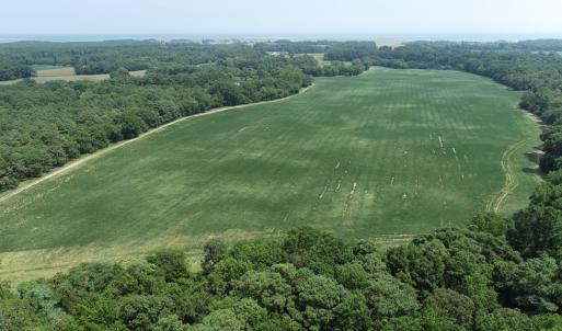 Photo #3 of #57,#154 METOMPKIN RD, PARKSLEY, VA 163.2 acres