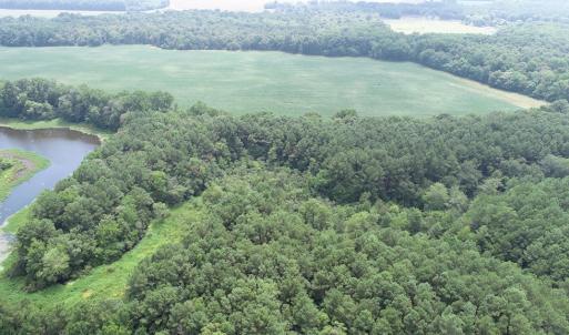 Photo #37 of #57,#154 METOMPKIN RD, PARKSLEY, VA 163.2 acres