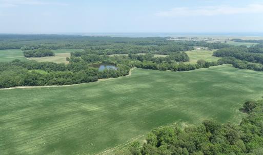 Photo #45 of #57,#154 METOMPKIN RD, PARKSLEY, VA 163.2 acres
