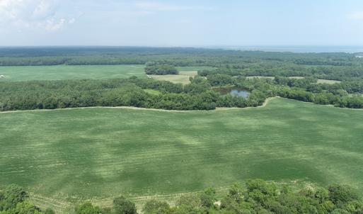 Photo #46 of #57,#154 METOMPKIN RD, PARKSLEY, VA 163.2 acres