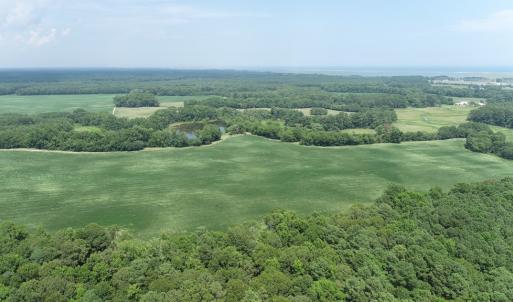 Photo #5 of #57,#154 METOMPKIN RD, PARKSLEY, VA 163.2 acres