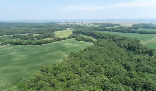 Photo #6 of #57,#154 METOMPKIN RD, PARKSLEY, VA 163.2 acres