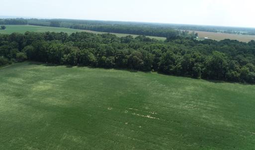 Photo #7 of #57,#154 METOMPKIN RD, PARKSLEY, VA 163.2 acres