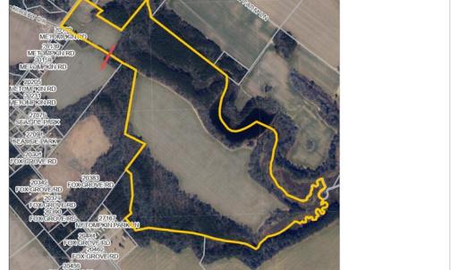 Photo #3 of #57,#154 METOMPKIN RD, PARKSLEY, VA 163.2 acres