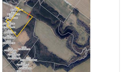 Photo #4 of #57,#154 METOMPKIN RD, PARKSLEY, VA 163.2 acres