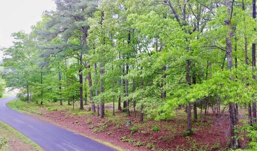 Photo #3 of 1 & 2 SERENITY LN, ONANCOCK, VA 2.7 acres