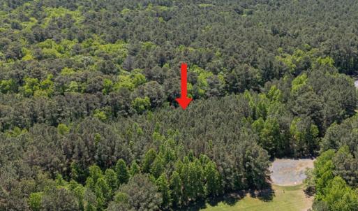 Photo #2 of Lot 5 PEACEFUL ACRES CT, JAMESVILLE, VA 4.2 acres