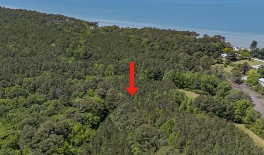 Photo #3 of Lot 5 PEACEFUL ACRES CT, JAMESVILLE, VA 4.2 acres