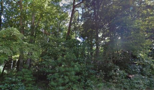 Photo #22 of Lot 1807 FRIGATE, GREENBACKVILLE, VA 0.3 acres