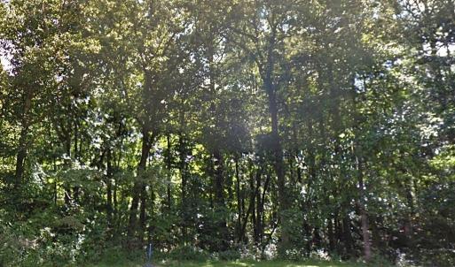 Photo #27 of Lot 1807 FRIGATE, GREENBACKVILLE, VA 0.3 acres