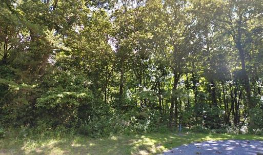 Photo #28 of Lot 1807 FRIGATE, GREENBACKVILLE, VA 0.3 acres