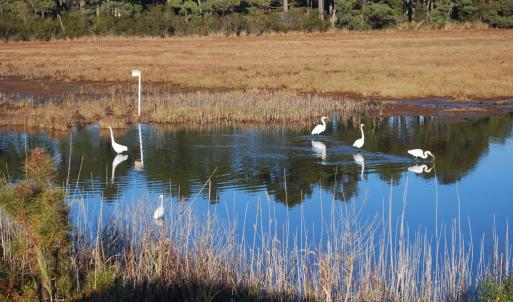 Wildlife Refuge