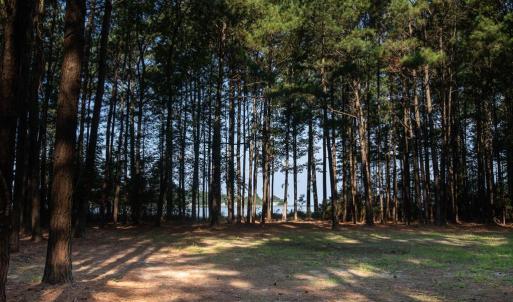 Photo #2 of Lot 1 BAILEY BEACH DR, ONANCOCK, VA 3.3 acres