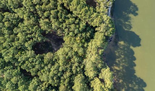 Photo #7 of Lot 1 BAILEY BEACH DR, ONANCOCK, VA 3.3 acres