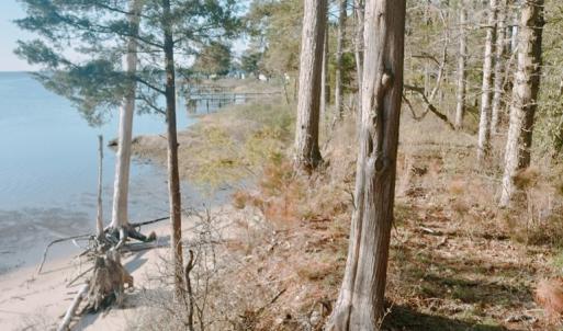 Photo #4 of Lot 9 CEDAR GROVE DRIVE, PAINTER, VA 1.6 acres