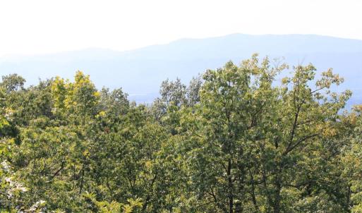 Photo #4 of WILDWOOD LN, SHENANDOAH, VA 1.9 acres