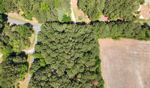 Photo #4 of Lot 1 ARGENTI PL, PAINTER, VA 1.2 acres