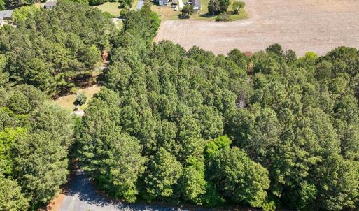 Photo #7 of Lot 1 ARGENTI PL, PAINTER, VA 1.2 acres