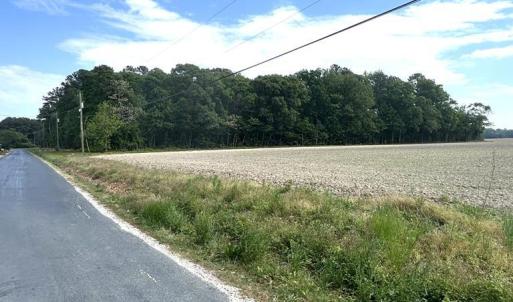 Photo #2 of 12345678 CULLS DR, CAPE CHARLES, VA 8.3 acres