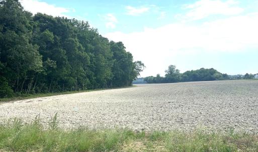 Photo #3 of 12345678 CULLS DR, CAPE CHARLES, VA 8.3 acres