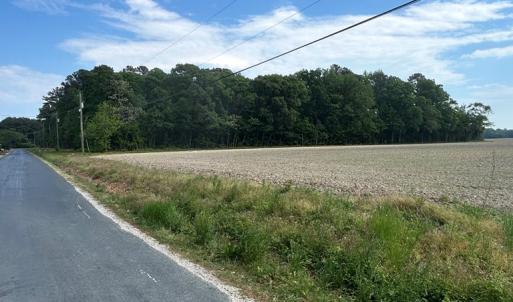 Photo #5 of 12345678 CULLS DR, CAPE CHARLES, VA 8.3 acres