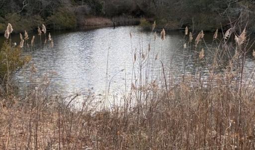 Photo #4 of 1 BRIDGETON DRIVE, CAPE CHARLES, VA 15,246.0 acres