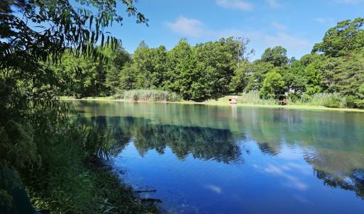 Photo #2 of Lot 1862 CAPTAINS CORRIDOR, GREENBACKVILLE, VA 16.0 acres