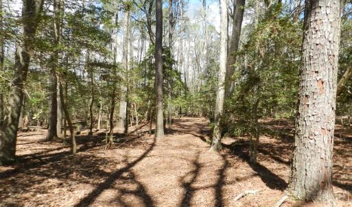 Photo #10 of Lot 1A WILSONIA SHORES DR, MACHIPONGO, VA 3.5 acres