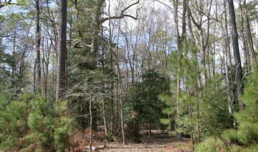 Photo #11 of Lot 1A WILSONIA SHORES DR, MACHIPONGO, VA 3.5 acres