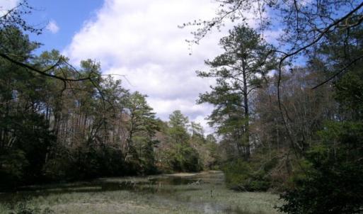 Photo #4 of Lot 1A WILSONIA SHORES DR, MACHIPONGO, VA 3.5 acres