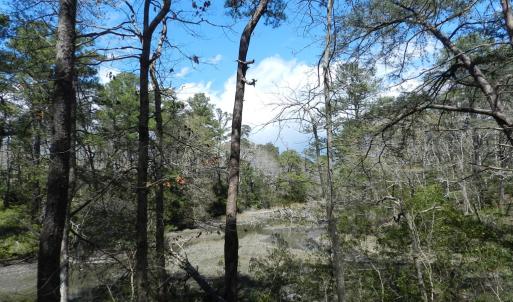 Photo #6 of Lot 1A WILSONIA SHORES DR, MACHIPONGO, VA 3.5 acres