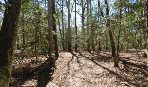 Photo #7 of Lot 1A WILSONIA SHORES DR, MACHIPONGO, VA 3.5 acres