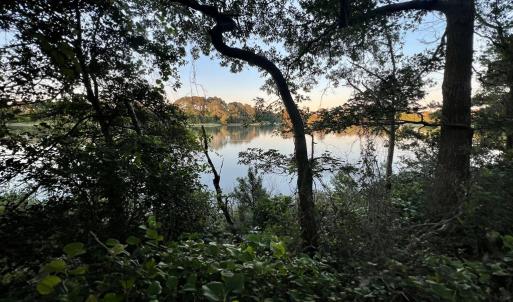 View from the shoreline