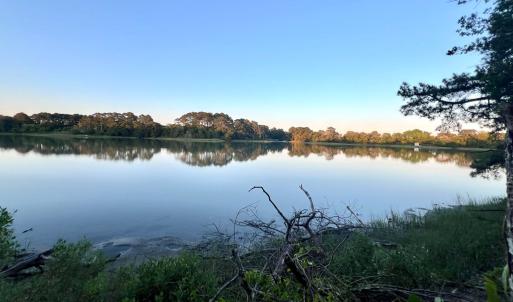 view from the shoreline