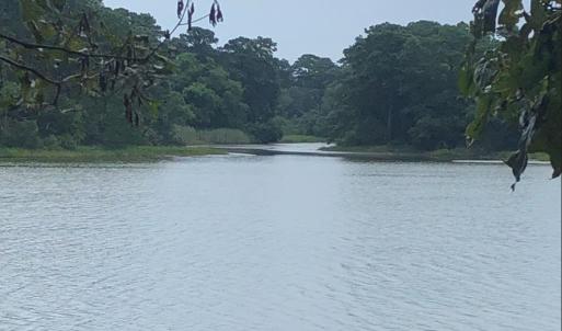Photo #8 of 117 CREEKSIDE LN, CAPE CHARLES, VA 0.9 acres