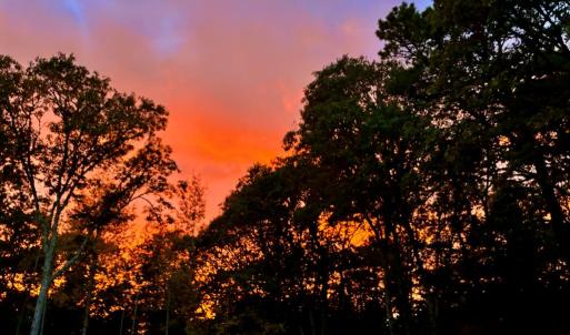 Photo #15 of 117 CREEKSIDE LN, CAPE CHARLES, VA 0.9 acres