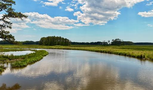Photo #3 of Lot 2A MILES RD, NEW CHURCH, VA 111.0 acres